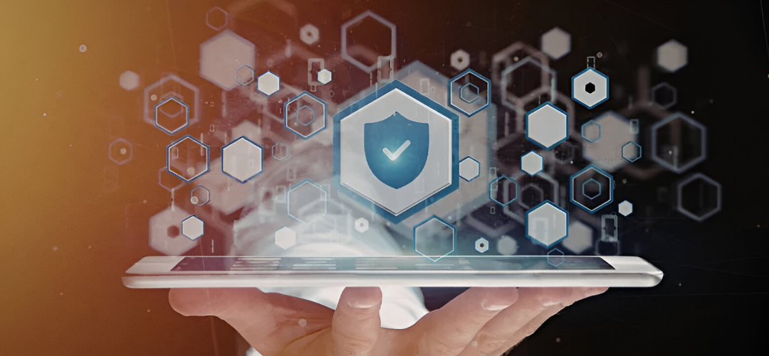 WhatsApp Image 2026-02-24 at 125609 PM