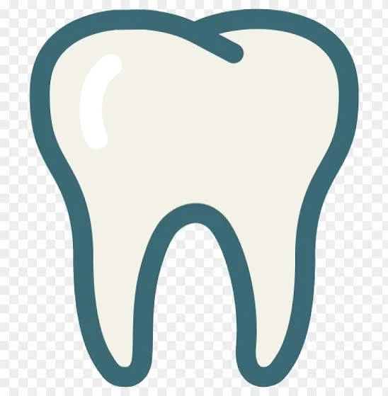 Iconic illustration of a tooth (dental symbol) with a teal outline and cream fill.